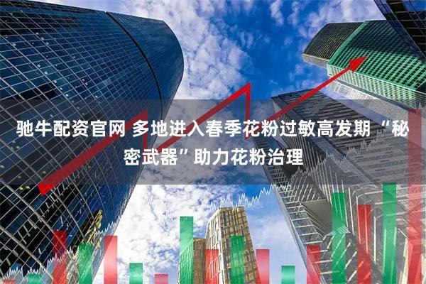 驰牛配资官网 多地进入春季花粉过敏高发期 “秘密武器”助力花粉治理