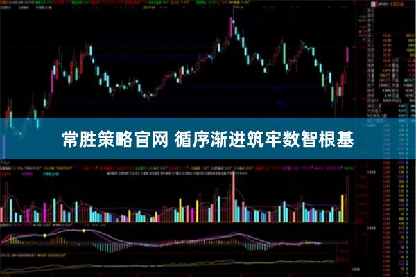 常胜策略官网 循序渐进筑牢数智根基